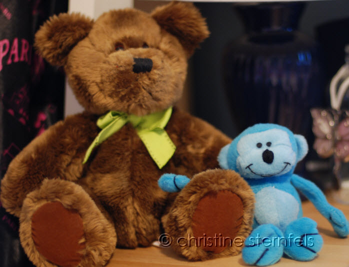 Random acts of kindness day 20  - Copyright Christine Sternfels