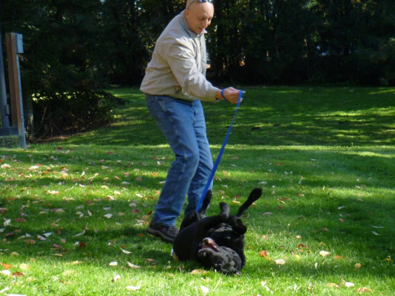 Charlie Sternfels (11)