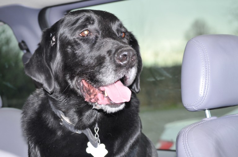 Charlie Sternfels (16)