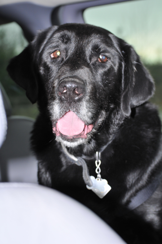 Charlie Sternfels (17)