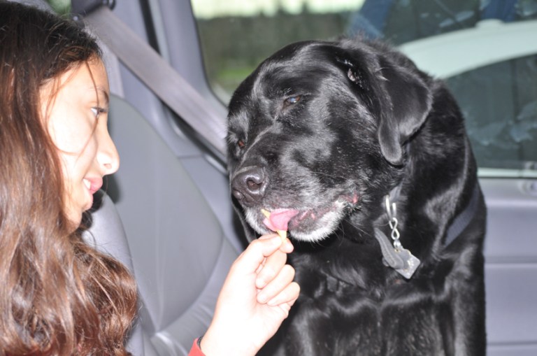 Charlie Sternfels (18)