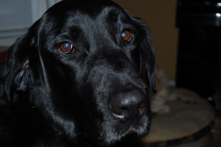 Charlie Sternfels (2)