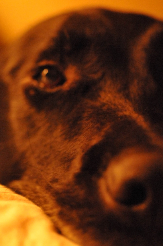 Charlie Sternfels (20)