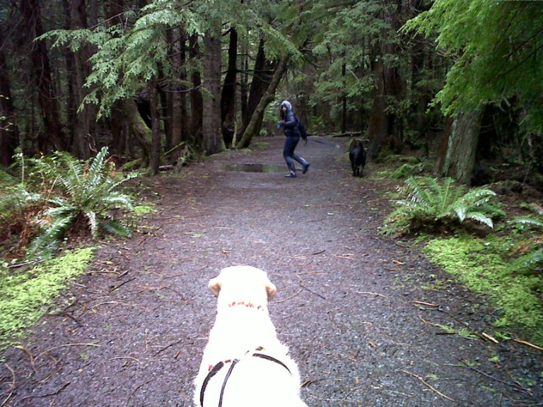 Charlie Sternfels (24)