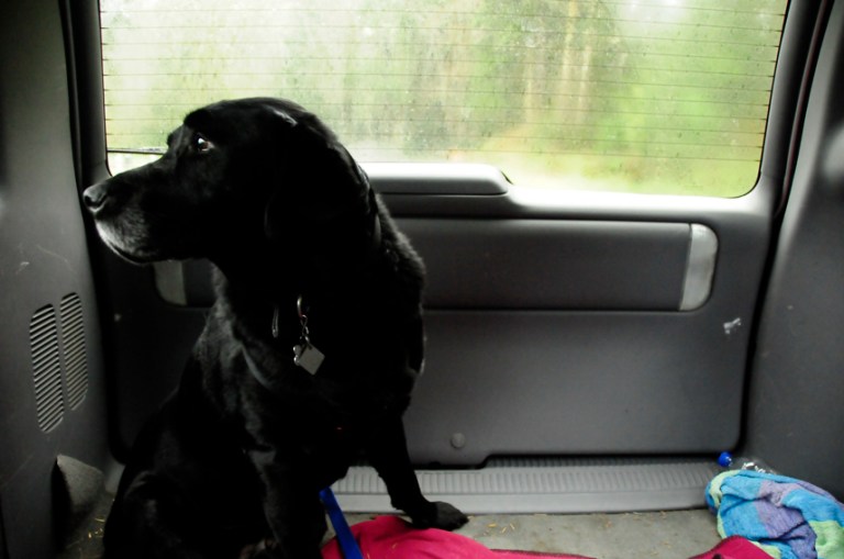 Charlie Sternfels (25)