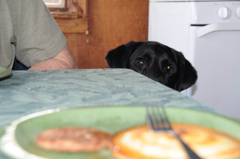 Charlie Sternfels (27)