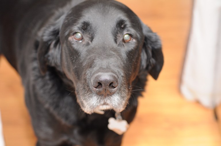 Charlie Sternfels (28)