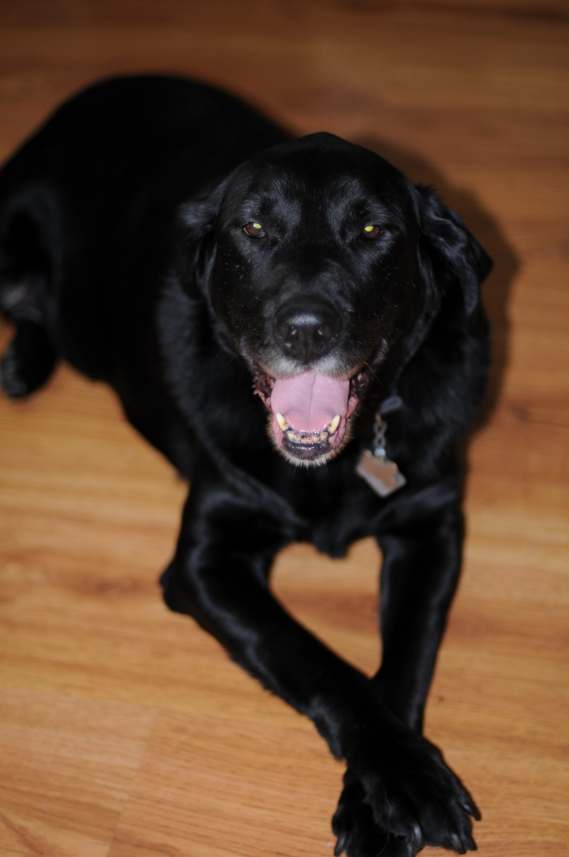 Charlie Sternfels (31)