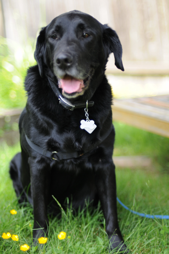 Charlie Sternfels (34)