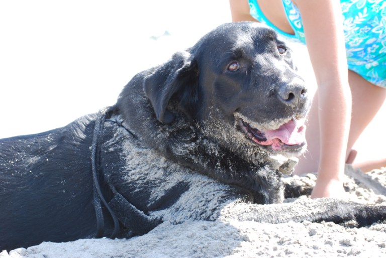 Charlie Sternfels (4)