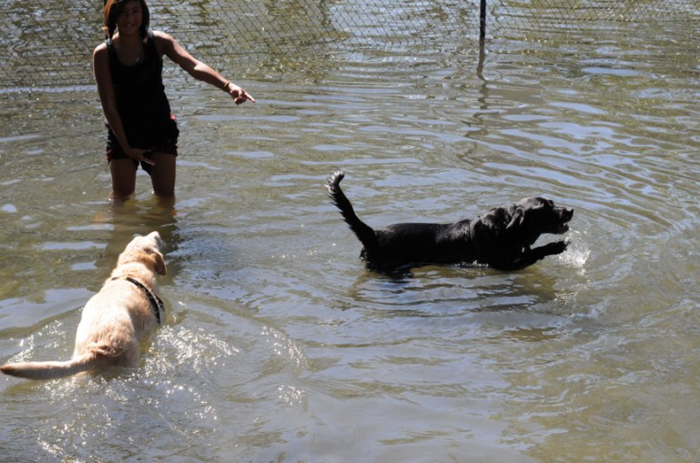 Charlie Sternfels (40)