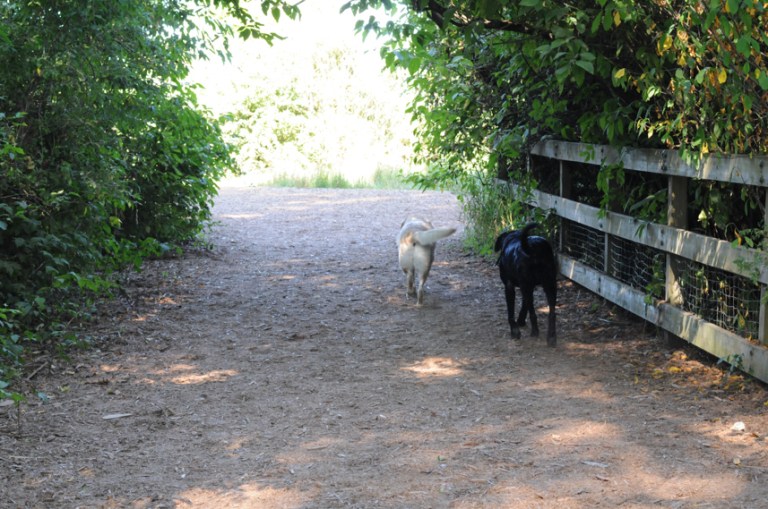 Charlie Sternfels (41)