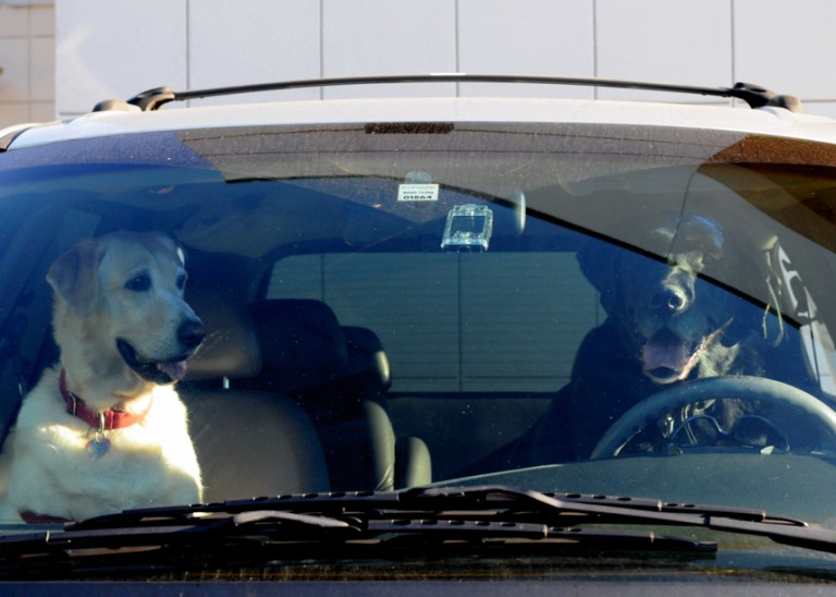 Charlie Sternfels (44)