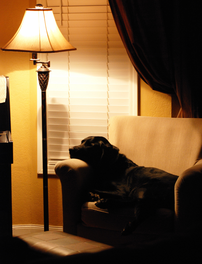 Charlie Sternfels (48)