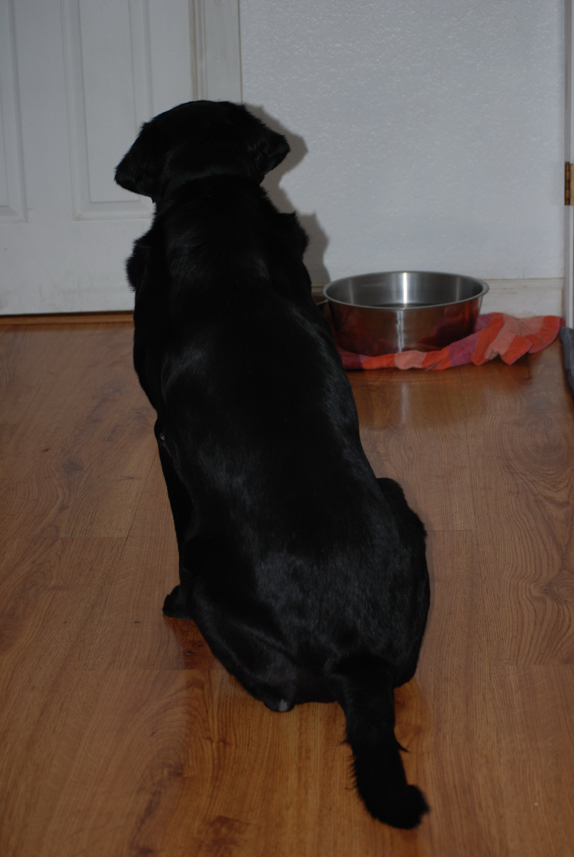 Charlie Sternfels (49)