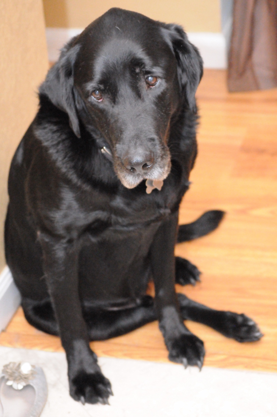 Charlie Sternfels (51)