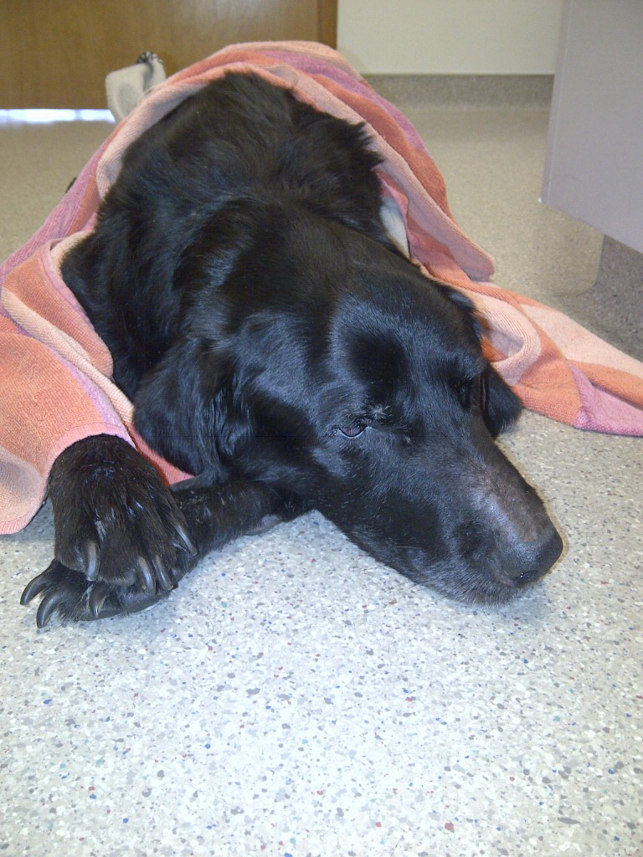 Charlie Sternfels (58)